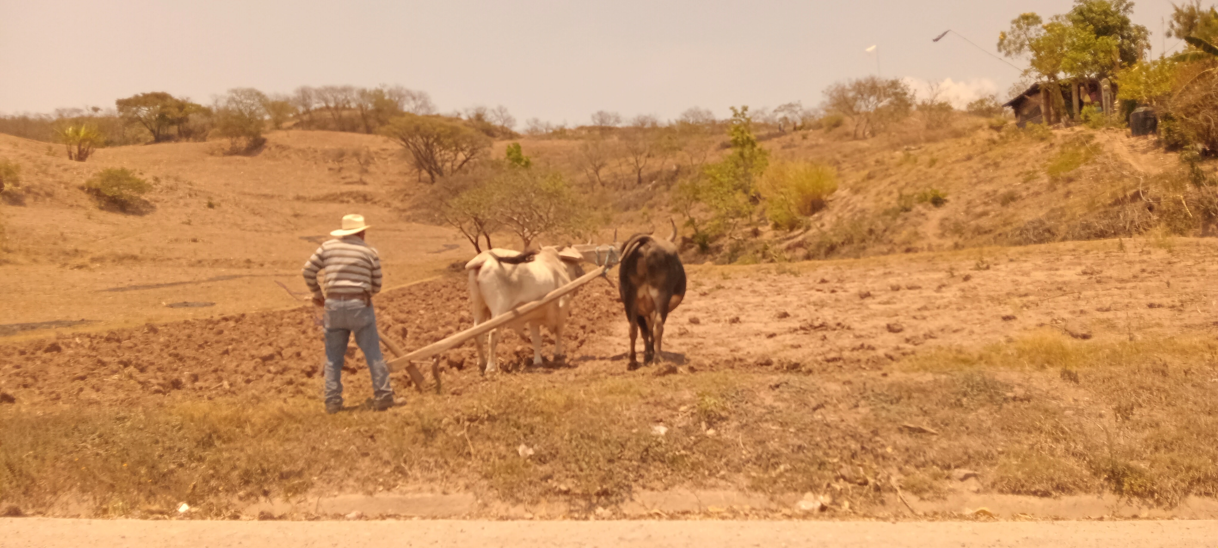 Fotografía territorial