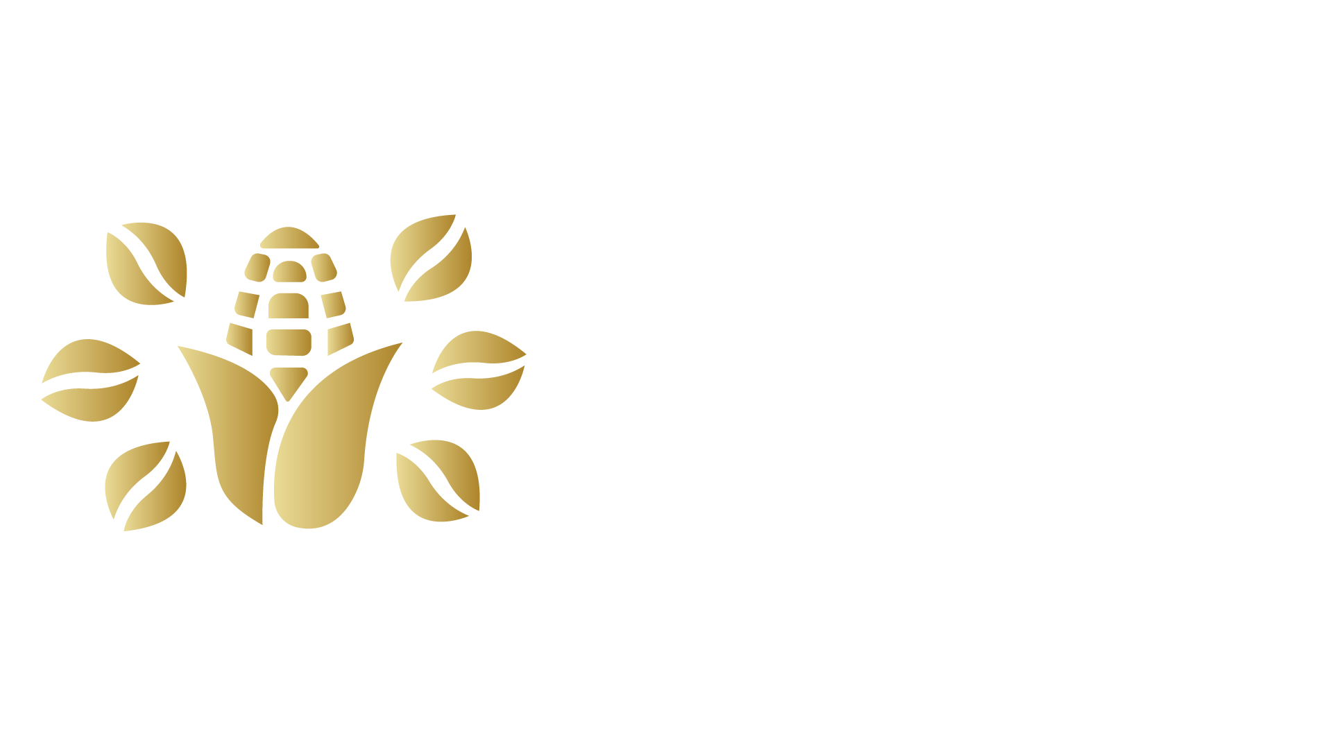 El Maíz es la Raíz